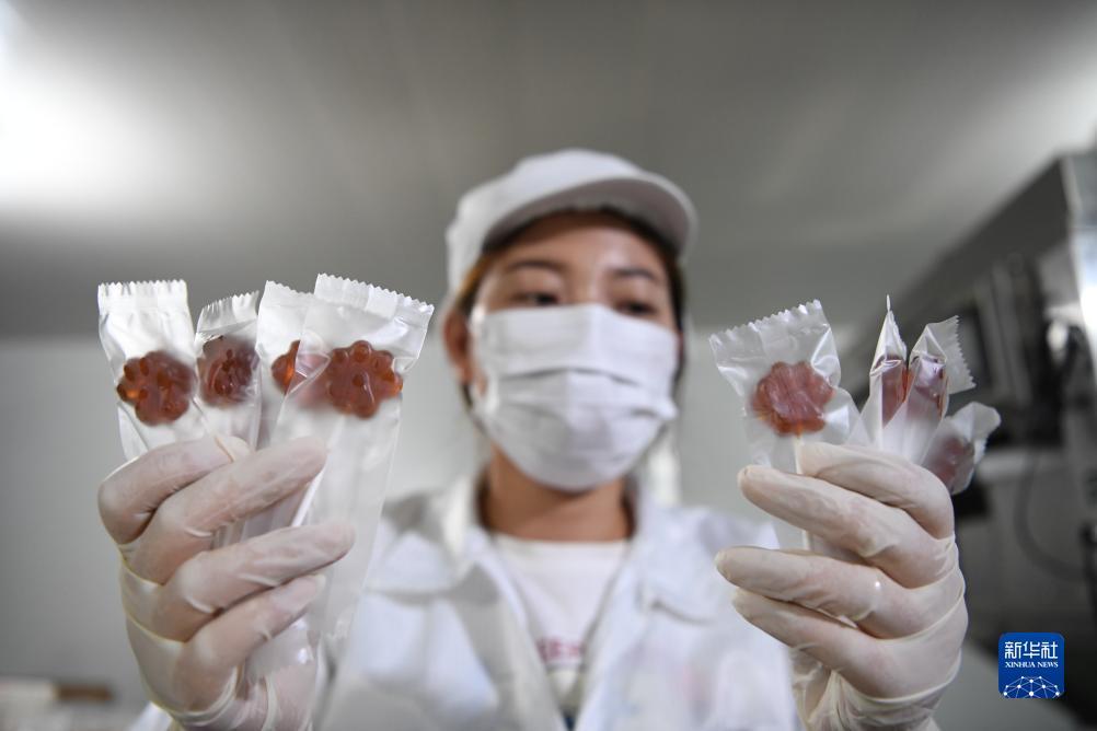 最新巴黎人官方